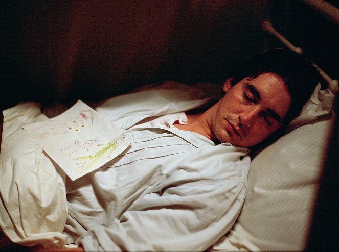 The Fall - Film - Lee Pace