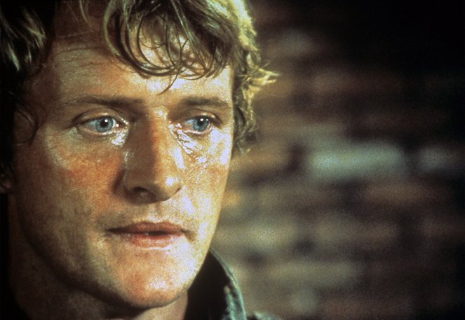 The Osterman Weekend - Photos - Rutger Hauer