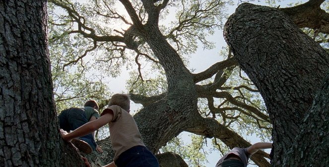 The Tree of Life - Filmfotos