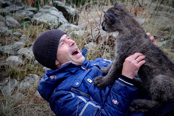 Terra X: Faszination Erde - mit Dirk Steffens: Rocky Mountains - Schicksal eines Kontinents - Photos - Dirk Steffens