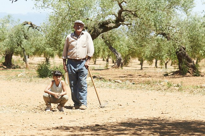 El Olivo - Der Olivenbaum - Filmfotos - Inés Ruiz, Manuel Cucala