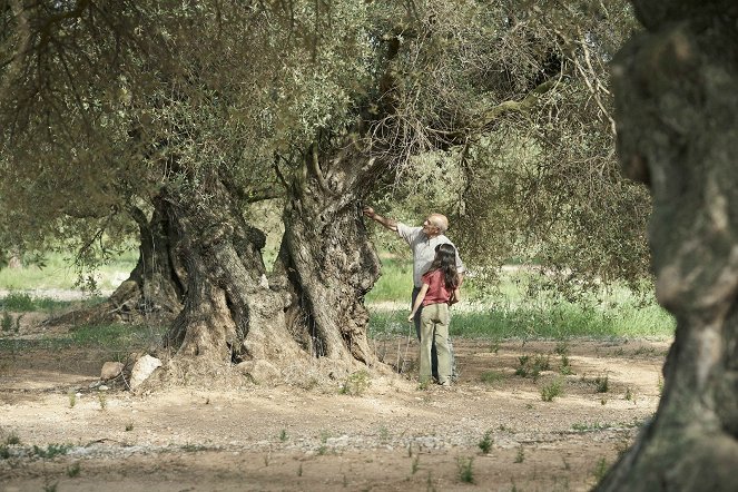 Oliivipuu - Kuvat elokuvasta
