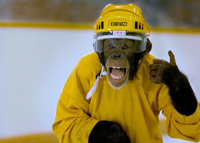 Jack - Der beste Affe auf dem Eis - Filmfotos