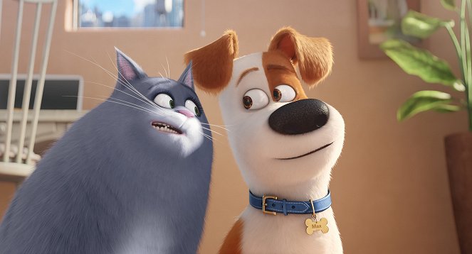 Mascotas - De la película