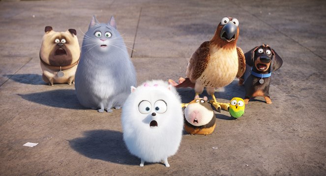 The Secret Life of Pets - Photos