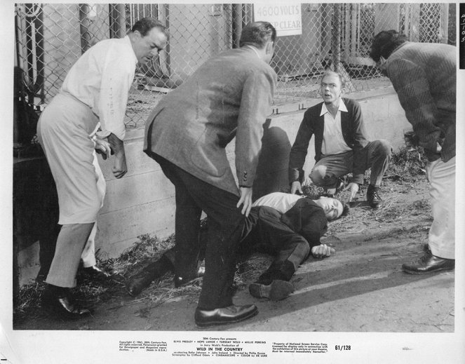 Wild in the Country - Lobby Cards - Elvis Presley