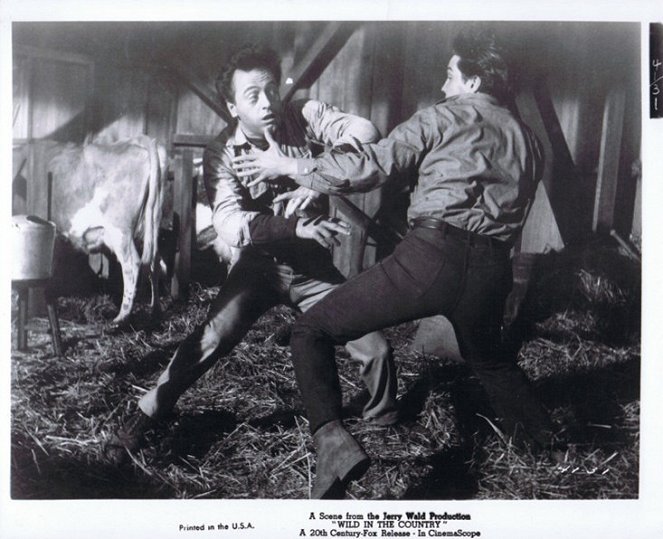Wild in the Country - Lobby Cards