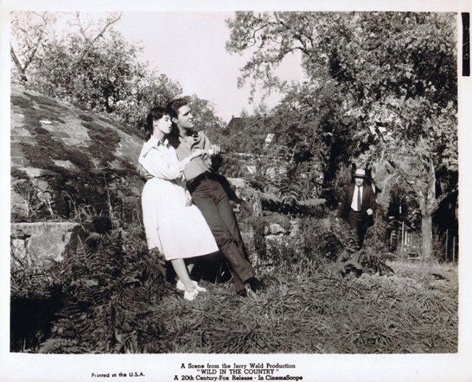 Wild in the Country - Lobby Cards - Elvis Presley