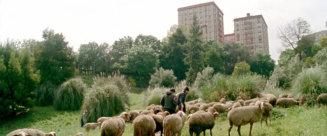 As Mil e Uma Noites: Volume 2, O Desolado - Do filme