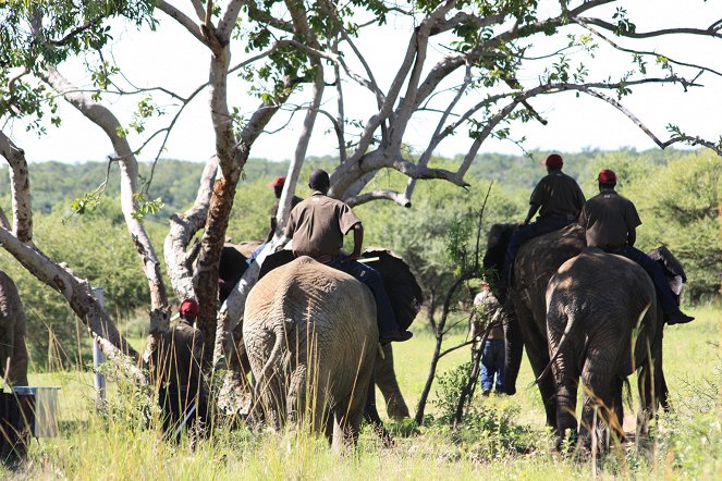 Poaching Wars - Filmfotók