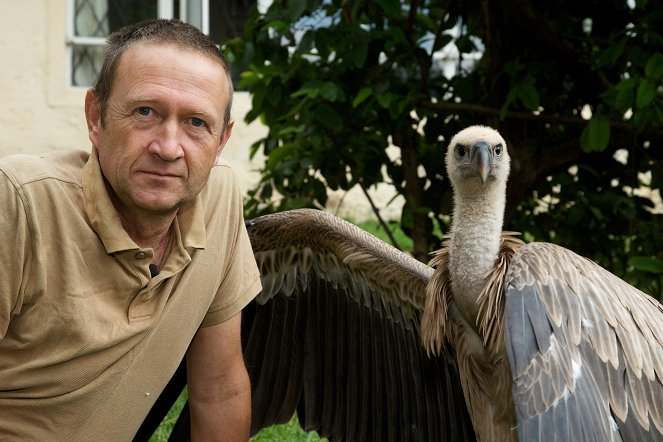 A természeti világ - Vultures: Beauty in the Beast - Filmfotók