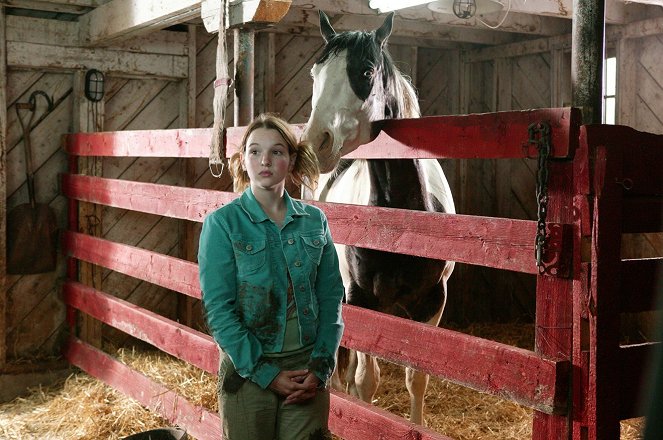 Ein Pferd für Moondance - Filmfotos - Kay Panabaker