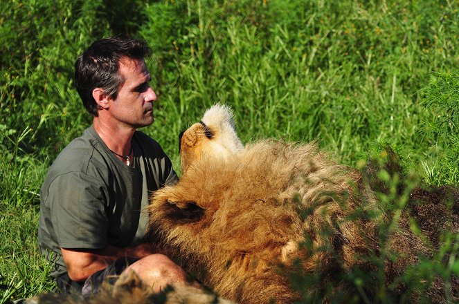 Az oroszlán-suttogó - Filmfotók - Kevin Richardson