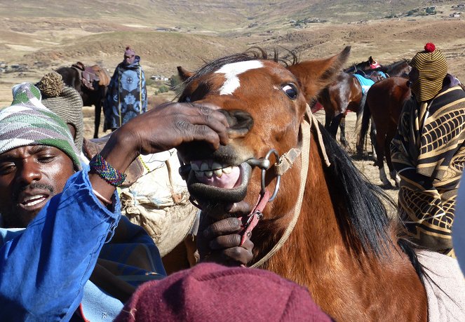 Die stolzen Reiter von Lesotho - Filmfotos