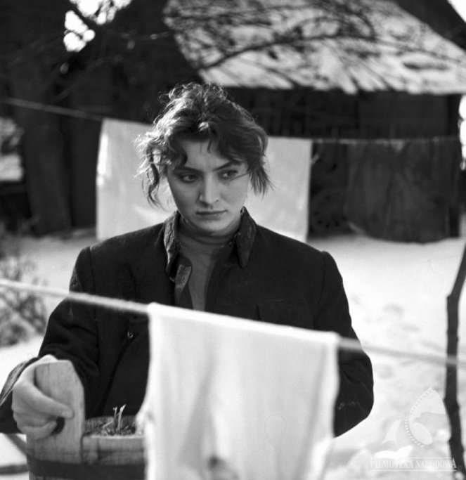 Zimowy zmierzch - Filmfotók - Ligia Borowczyk