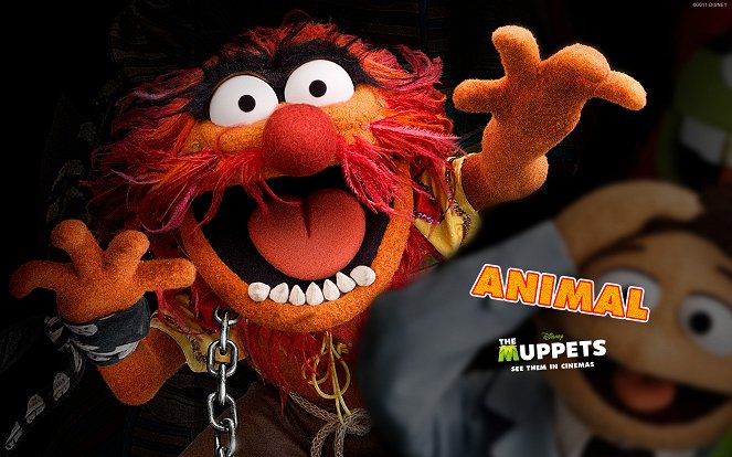 Les Muppets, le retour - Cartes de lobby
