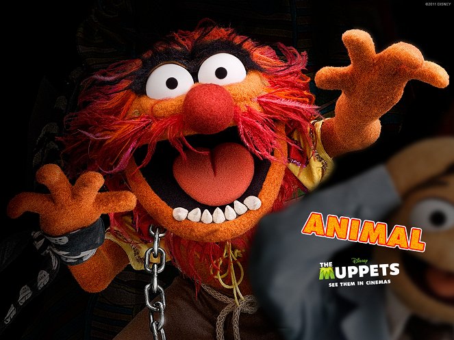 Les Muppets, le retour - Cartes de lobby