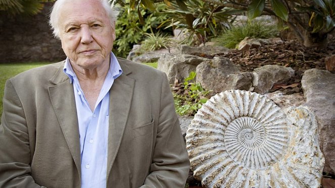 David Attenborough's Natural Curiosities - Z filmu - David Attenborough