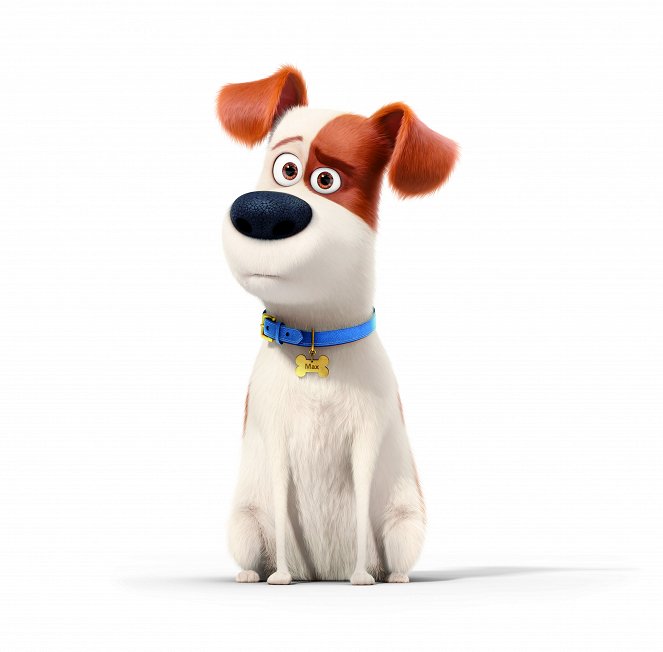 The Secret Life of Pets - Promo