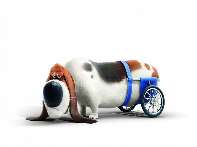 The Secret Life of Pets - Promo