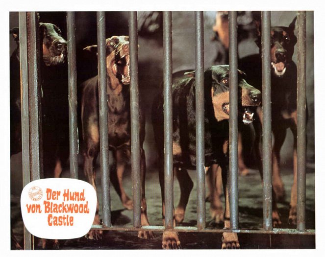 Edgar Wallace: Der Hund von Blackwood Castle - Lobbykarten