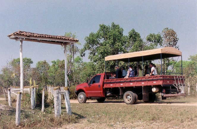 Brasilianisches Pantanal - De la película