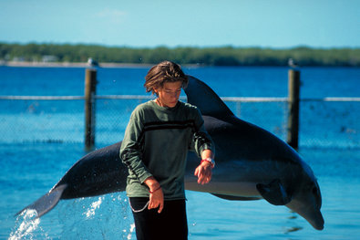 Das Delphinwunder - De la película - Philipp Danne