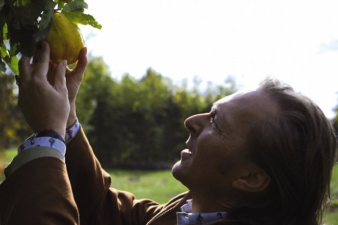 Märkte – Im Bauch von … - Film