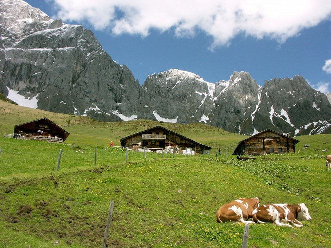 Universum: Hochkönig - Bergwelt zwischen Pinzgau und Pongau - Filmfotos