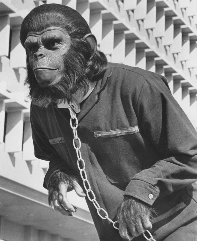 Conquest of the Planet of the Apes - Photos - Roddy McDowall