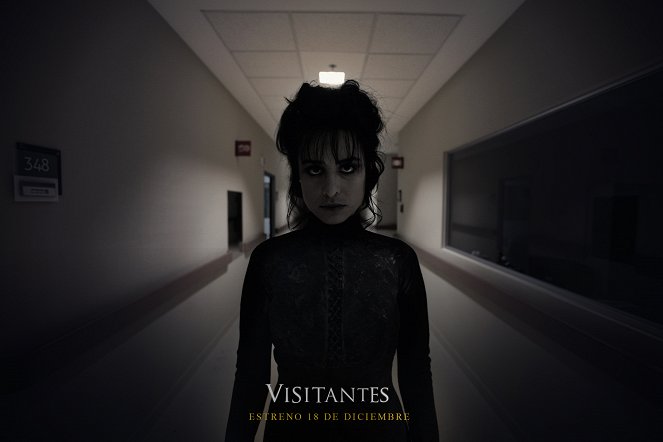 Visitantes - Promoción