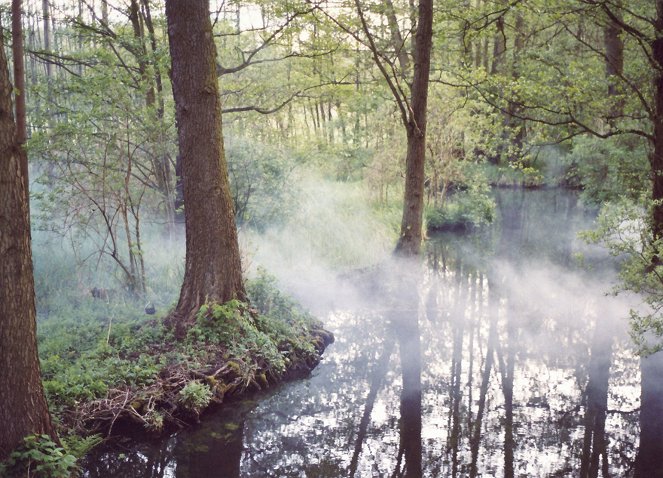 Spreewald - Labyrinth des Wassermanns - Kuvat elokuvasta