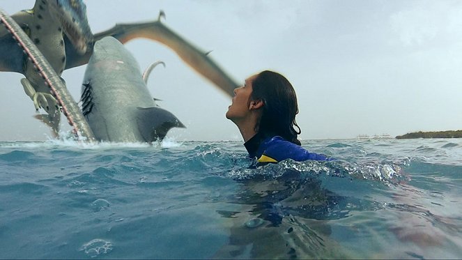 Sharktopus vs. Pteracuda: Kampf der Urzeitgiganten - Filmfotos - Katie Savoy