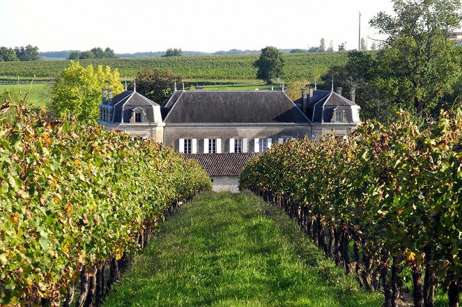 Bordeaux - Ferien auf dem Weingut - Z filmu