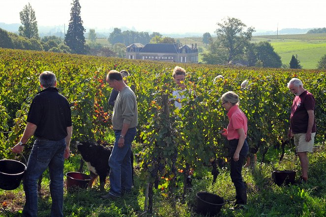 Bordeaux - Ferien auf dem Weingut - Filmfotos