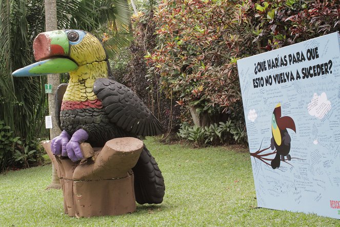 Toucan Nation - Die Tierschützer von Costa Rica - Filmfotos