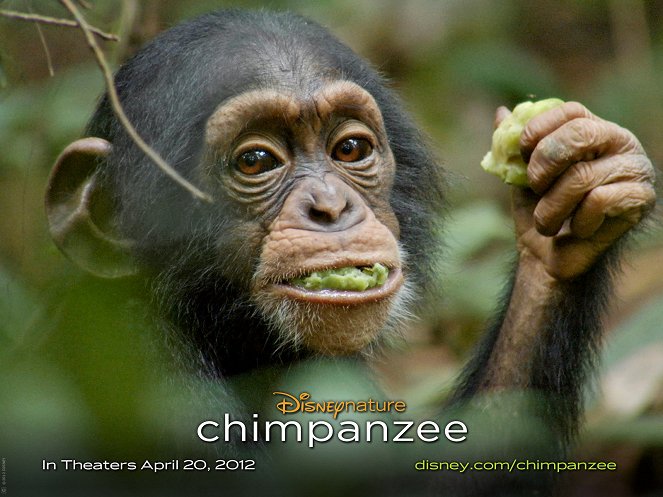 Chimpanzee - Lobby Cards