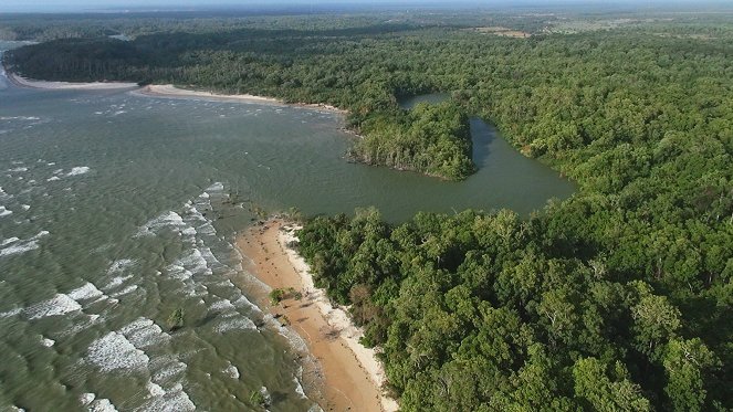 Le Brésil par la Côte - De la película