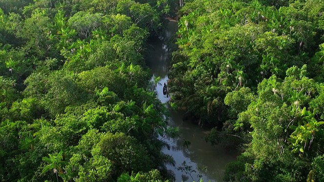 Le Brésil par la Côte - Photos