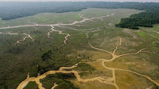 Le Brésil par la Côte - Photos