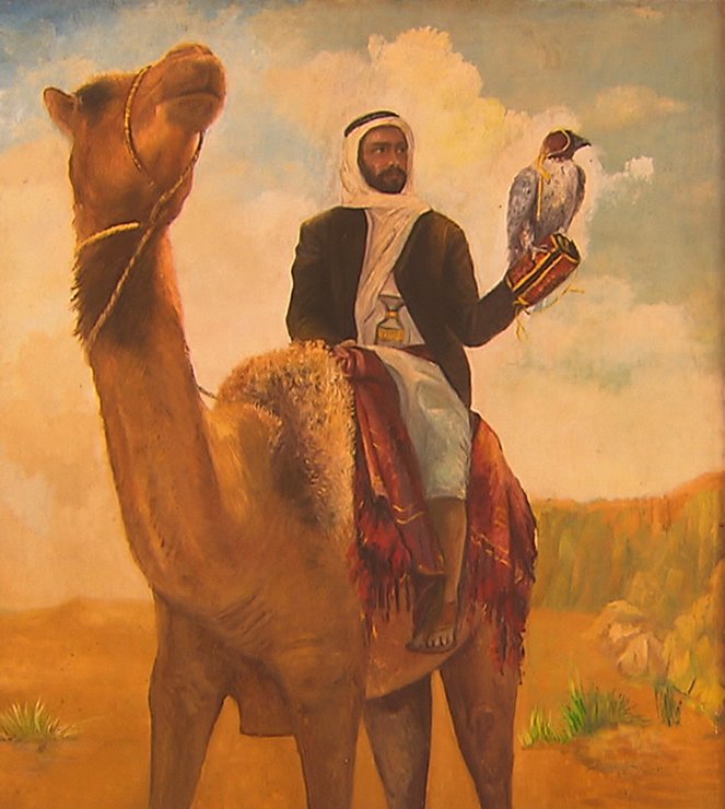 Cheikc Zayed, une légende arabe - Van film
