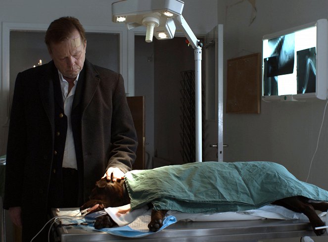 Wallander - Vittnet - De la película - Krister Henriksson