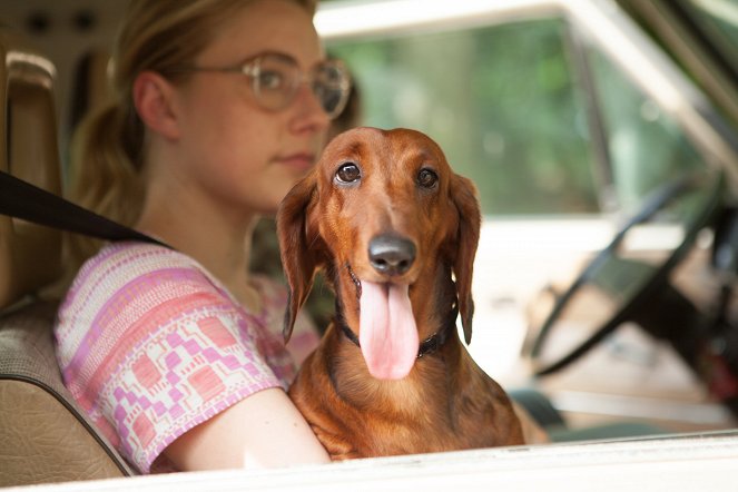 Uma Vida de Cão - Do filme - Greta Gerwig