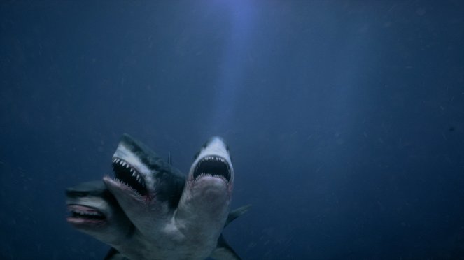 El ataque del tiburón de tres cabezas - De la película