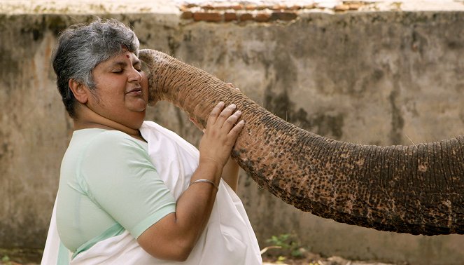 Elefantenparadies Südindien - Die Mahouts von Kerala - Photos
