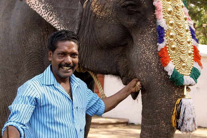 Elefantenparadies Südindien - Die Mahouts von Kerala - Z filmu