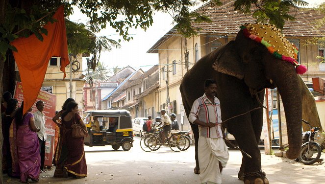 Elefantenparadies Südindien - Die Mahouts von Kerala - Film