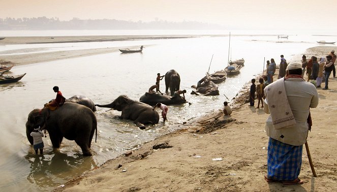 Elefantenparadies Südindien - Die Mahouts von Kerala - Van film