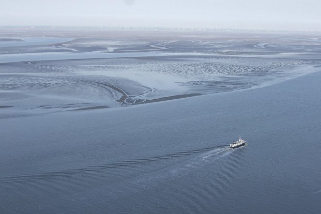 Terra X: Geisterschiff im Wattenmeer - Photos