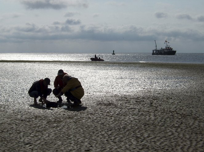 Terra X: Geisterschiff im Wattenmeer - Van film